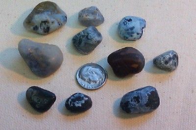 10pcs Oregon Newport Blue Black Beach Agates Carnelian 48.8g rough cab 