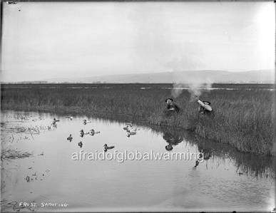 Photo 1890s Duck Hunters Decoys Shooting in Marsh  