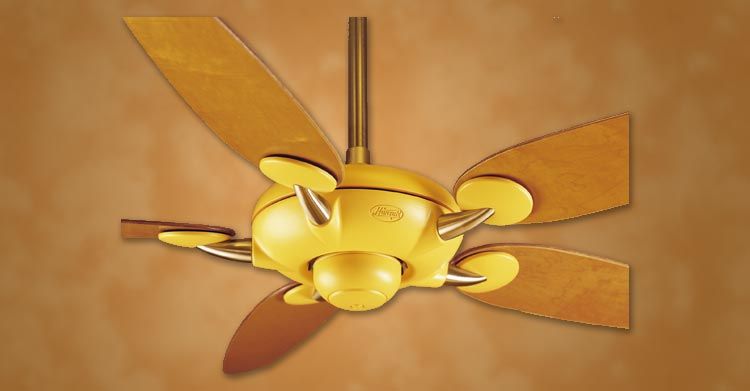 HUNTER 54 ALCHEMY MELON FINISH Ceiling Fan  