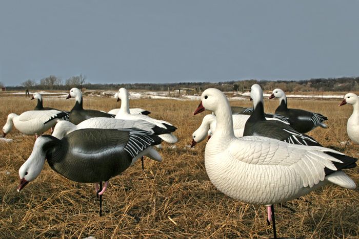 Goose Decoys   Duck Decoys   Dakota Decoy Company