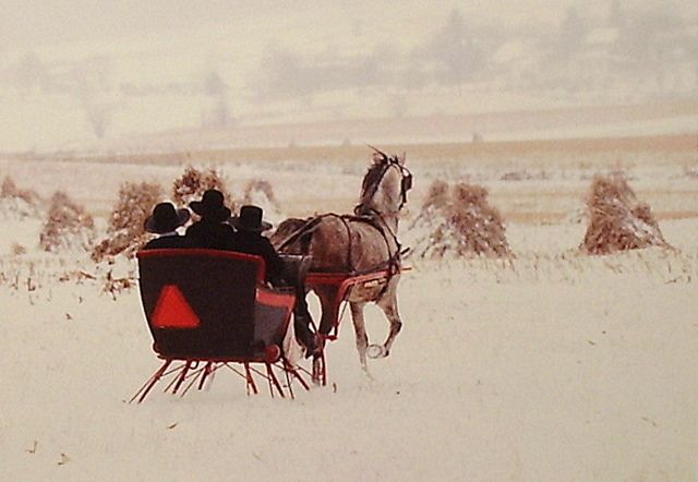 AMISH Horse Drawn SLEIGH Bill Coleman S/N Framed Photo  