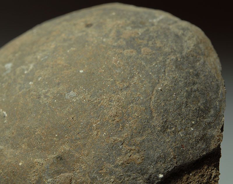 rare, large and fascinating Prehistoric Fossil   A Fossilized 