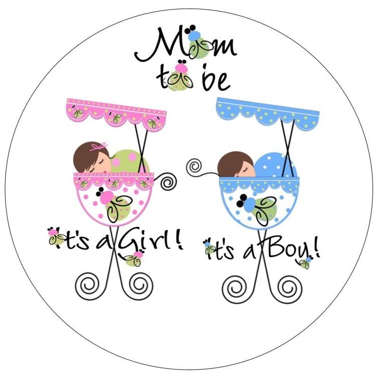 48   Twins Baby Shower Favor Labels Seals Stickers  