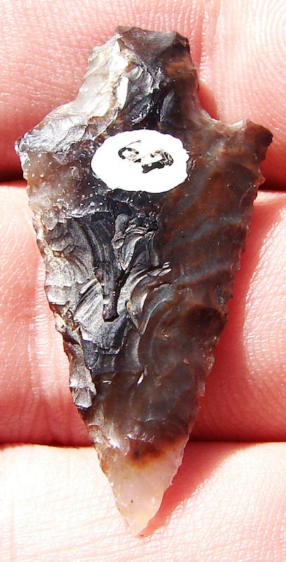 COLUMBIA RIVER MOSS AGATE RABBIT ISLAND DART POINT NB 1114E  