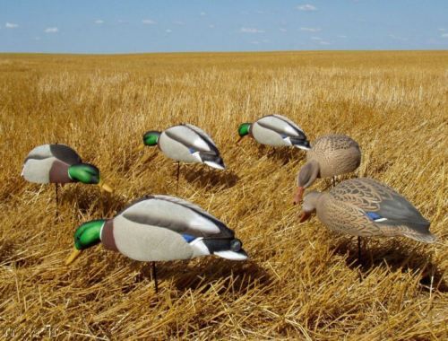 AVERY GREENHEAD GEAR MALLARD FEEDER SHELL DUCK DECOYS 700905701650 