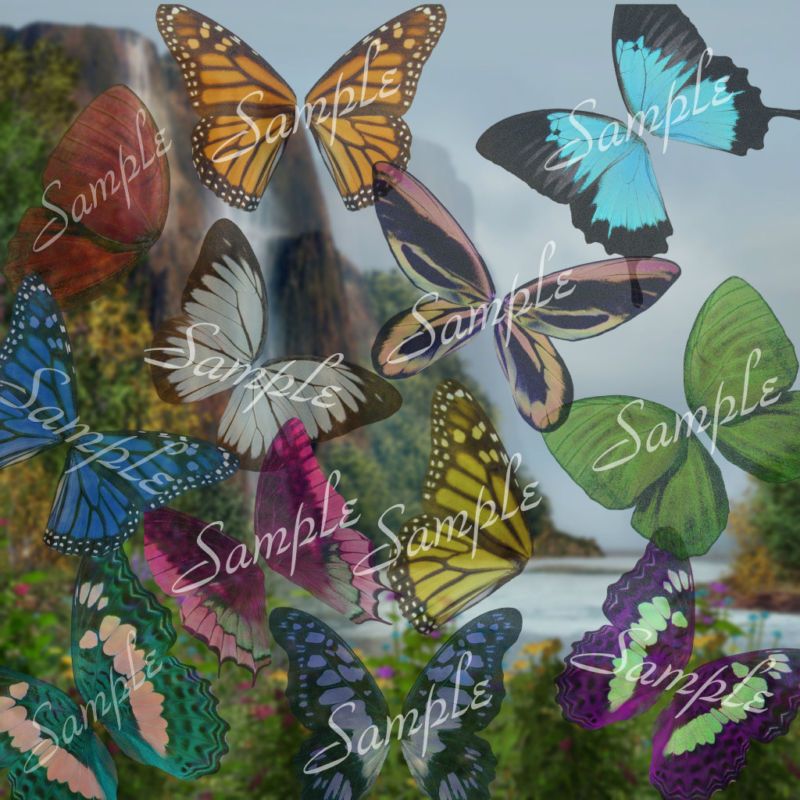   WINGS #1/PNG /BACKGROUNDS/PHOTOGRAPHY PROPS/CHILDREN/PETS/M 1  