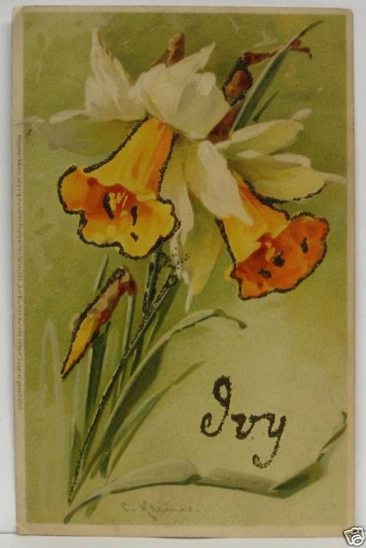   Postcard ~ Artist Signed CATHERINE KLEIN ~ Meissner & Buch ~ DAFFODILS