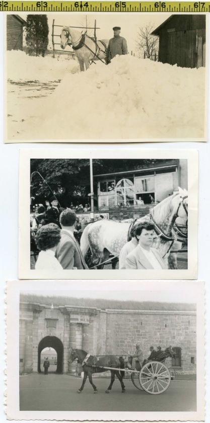   & WAGON photo lot 1915 55 Carriages Farm Work Old Snapshots  