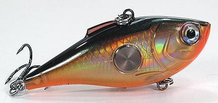 RAPALA CLACKIN RAP HARD CADENCE RATTLE CRANKBAIT  