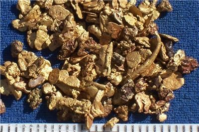 YUKON GOLD NUGGETS 2.00 GRAMS +8  