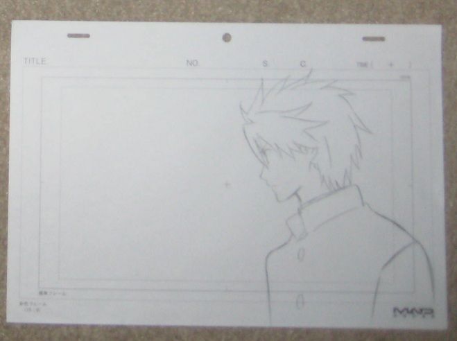 Rare High school of the Dead rough genga set anime not cel  