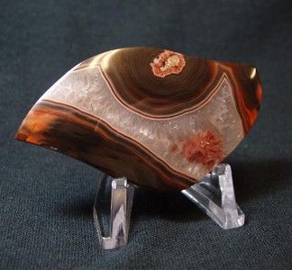 Condor Agate Collectors Cabochon Patagonia Agate WoW  