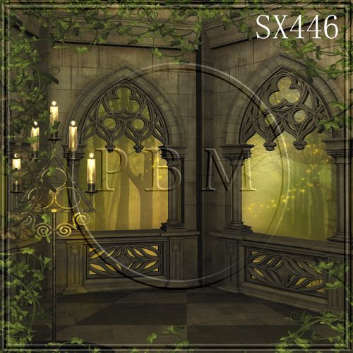 INDOOR 10x10 CP SCENIC PHOTO BACKGROUND BACKDROP SX446  