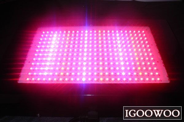 600W New 2012 Lighthouse Hydro LED Grow Light 3W LEDs Generation 3 