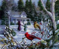 Bradley Jackson JANUARY CALM S/N Ltd Cardinal Print  