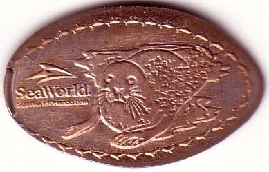 Seal SeaWorld Orlando Souvenir Pressed Penny  