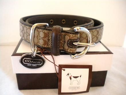 NEW COACH SIGNATURE LEATHER DOG COLLAR KHAKI 4003 XL  