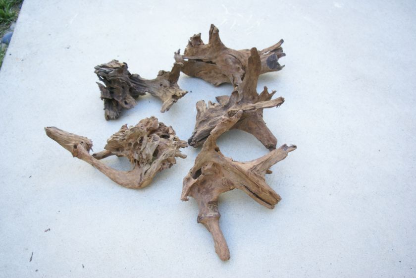 Lot of 5 Malaysian Driftwood Mid Size 13~15 Bulk Pack  